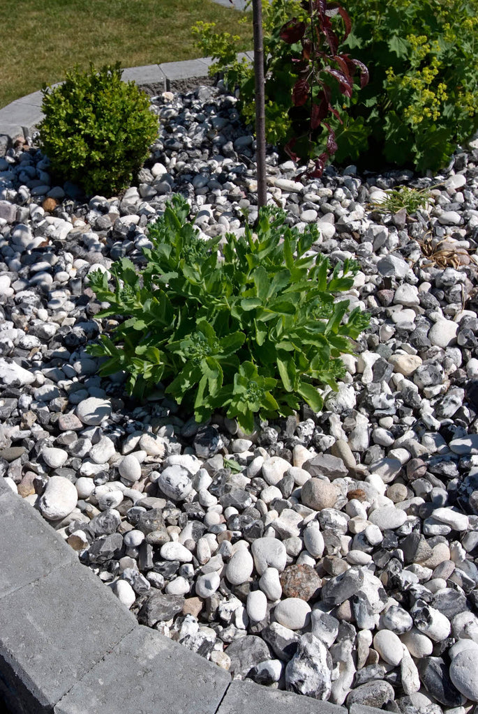 Svartvit sjösten med en elegant färgmix och rundade former. Passar utmärkt för stenläggning, dränering och dekoration. Stengrossen säljer produkten.