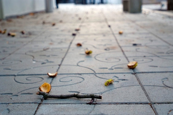 Naturgrå Kaprifolplatta från S:T Eriks med stiliserade blommönster, perfekt för eleganta uteplatser och trädgårdar. Stengrossen säljer produkten.