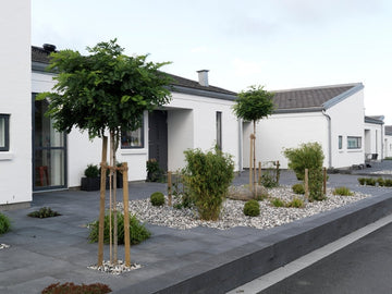 Scala i svart antracit är en betongmarksten med plan yta som passar perfekt för moderna uteplatser och garageuppfarter. Tillverkas av S:T Eriks. Stengrossen säljer produkten.