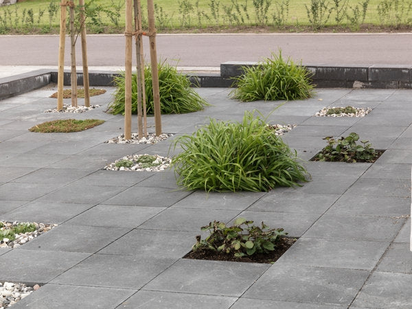 Scala i svart antracit är en betongmarksten med plan yta som passar perfekt för moderna uteplatser och garageuppfarter. Tillverkas av S:T Eriks. Stengrossen säljer produkten.